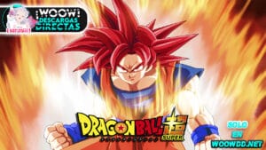 Descargar Dragon ball Super Español Latino (HD 130MB)(131/131)